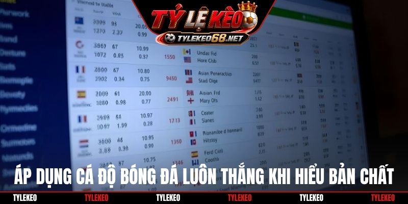 Áp dụng cá độ bóng đá luôn thắng khi hiểu bản chất