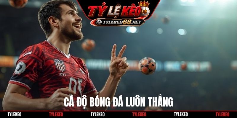 cá độ bóng đá luôn thắng