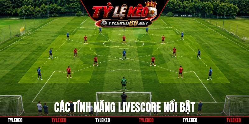 Các tính năng livescore nổi bật