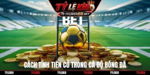 Cách tính tiền cỏ trong cá độ bóng đá