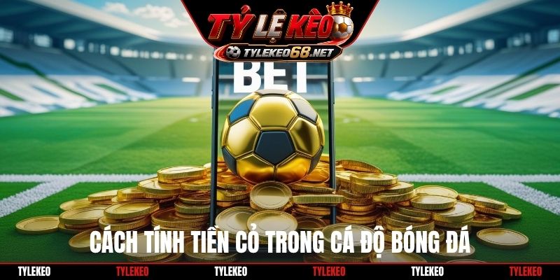 Cách tính tiền cỏ trong cá độ bóng đá