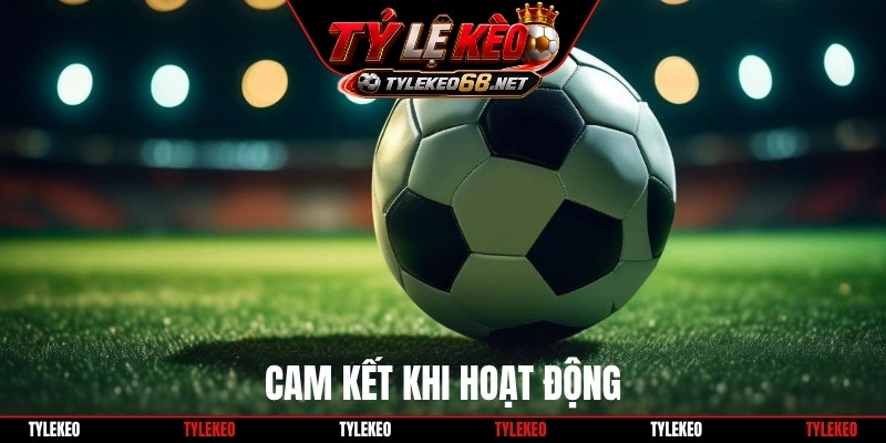 Cam kết khi hoạt động