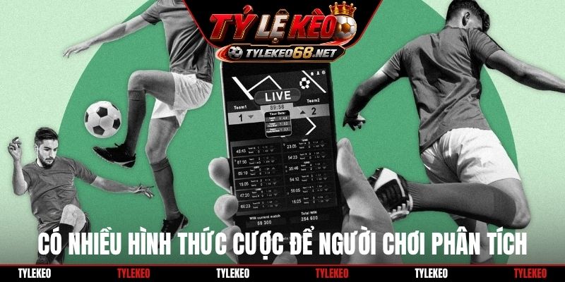 Có nhiều hình thức cược để người chơi phân tích