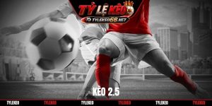 Kèo 2.5