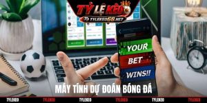 Máy tính dự đoán bóng đá
