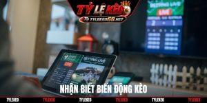 Nhận biết biến động kèo