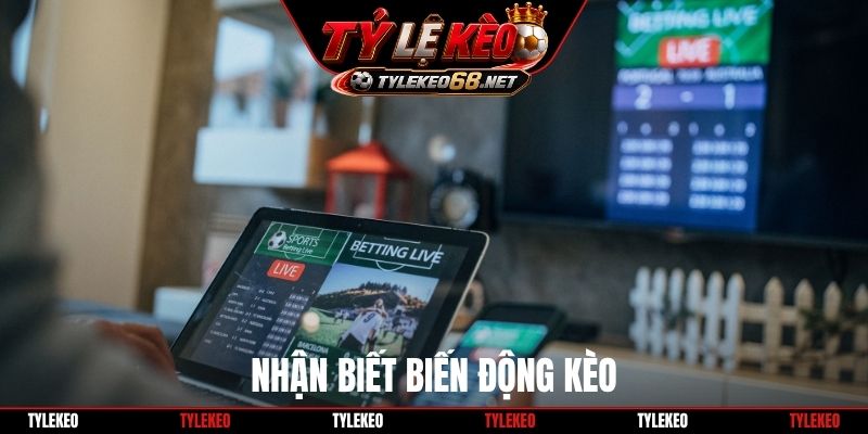 Nhận biết biến động kèo