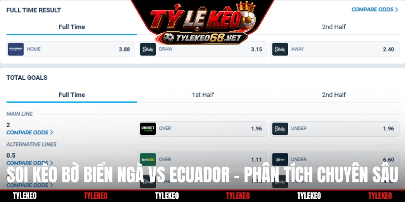 Soi kèo Bờ Biển Ngà vs Ecuador - Phân tích chuyên sâu