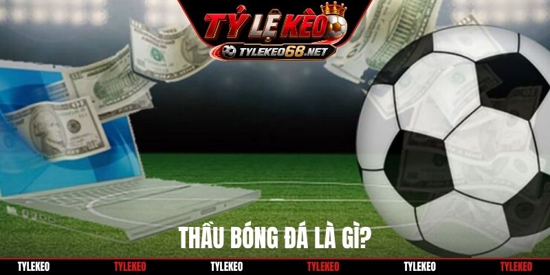 Thầu bóng đá là gì