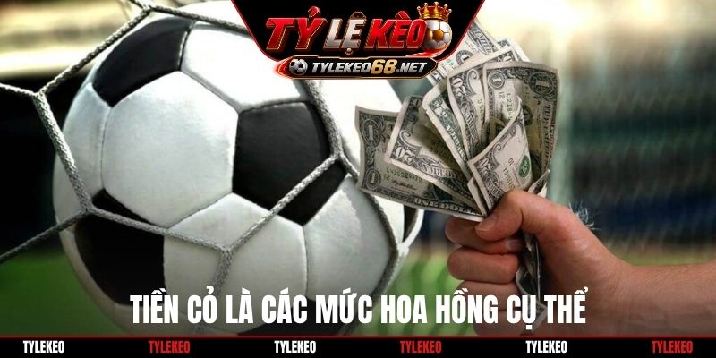 Tiền cỏ là các mức hoa hồng cụ thể