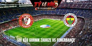 Soi Kèo Gornik Zabrze Vs Fenerbahçe, 01H00 Ngày 30/7, Cúp C1