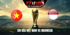 Soi Kèo Việt Nam Vs Indonesia, 20H00 Ngày 3/8, ASEAN Cup